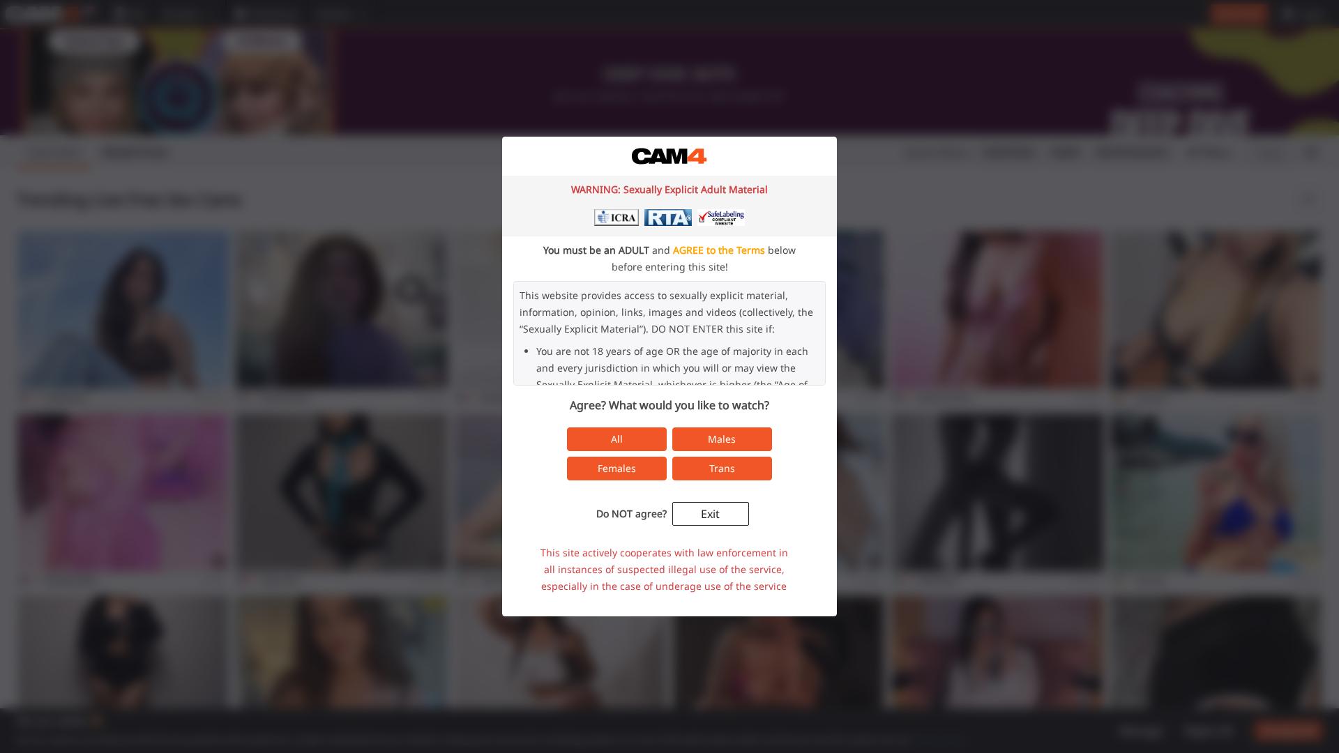 Image associated with CAM4