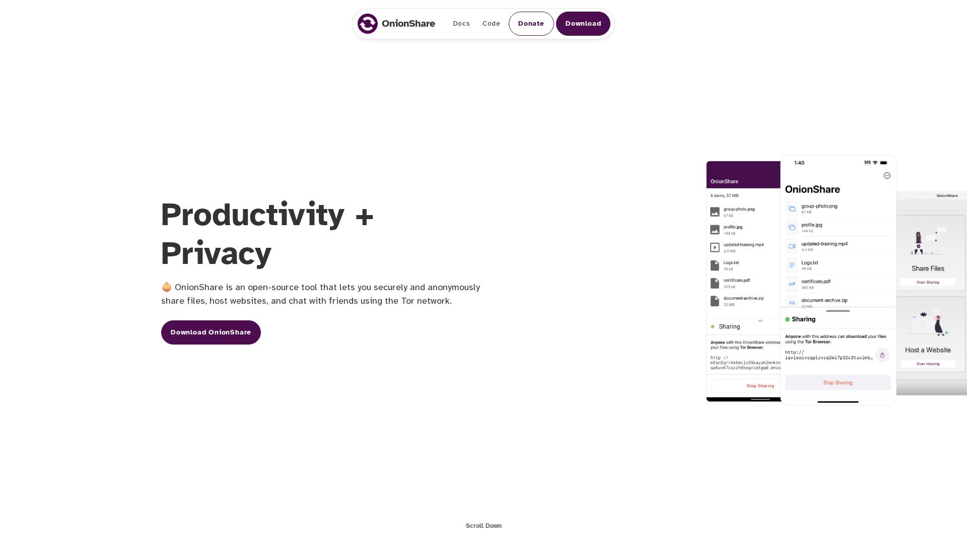 Image associated with OnionShare